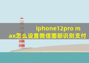 iphone12pro max怎么设置微信面部识别支付